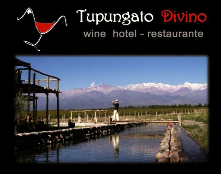 Tupungato Divino Vila Exterior foto