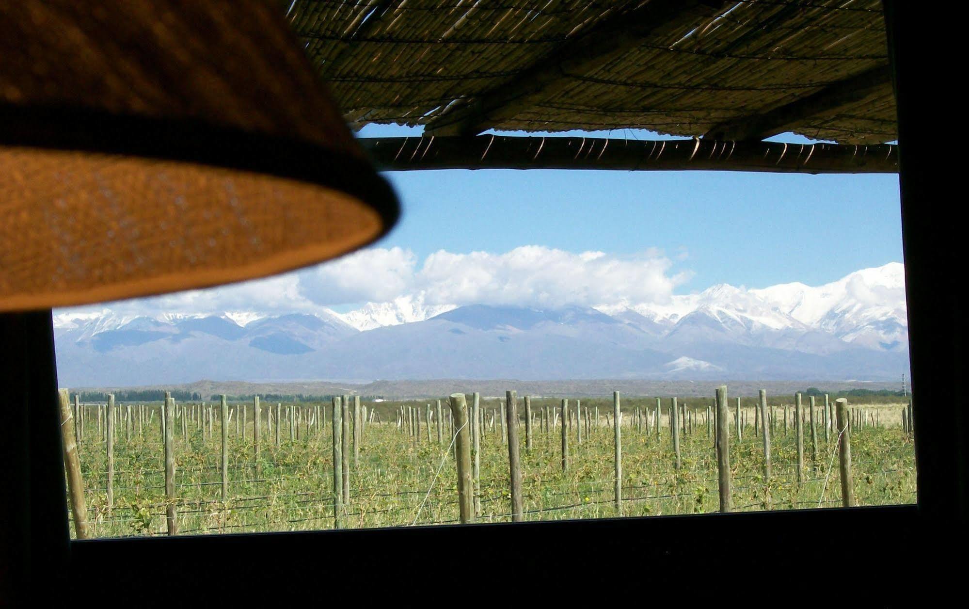 Tupungato Divino Vila Exterior foto